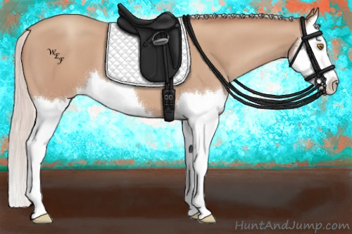 Horse Color:Silver Classic Champagne Splash 