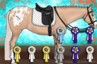 Horse Color:Silver Sable Champagne Splash Appaloosa 