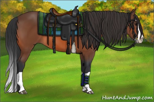 Horse Color:Bay Splash 