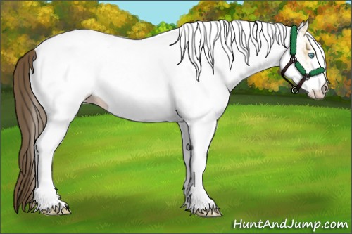 Horse Color:White Spotted Amber Cream Champagne Roan