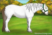 Horse Color:White Spotted Amber Cream Champagne Roan