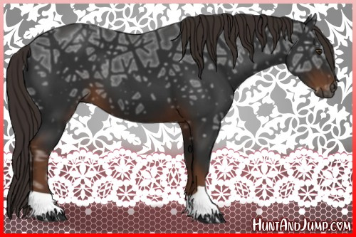 Horse Color:Gray Liver Chestnut Ice