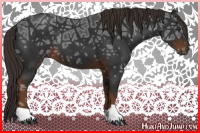 Horse Color:Gray Liver Chestnut Ice