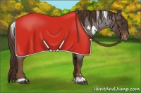 Horse Color:White Spotted Liver Red Roan Blanket 