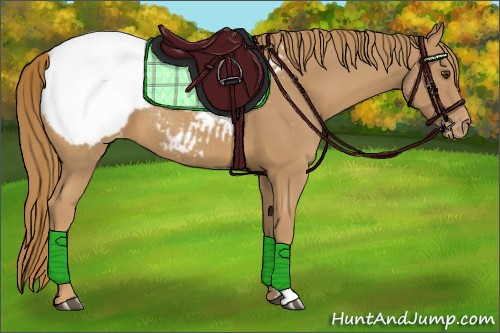 Horse Color:Chestnut Snowcap 
