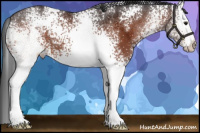 Horse Color:White Spotted Brown 