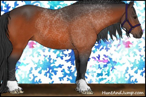 Horse Color:Bay Rabicano 