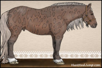 Horse Color:Silver Bay Ice 