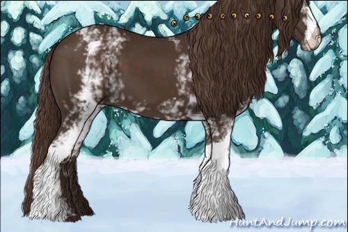 Horse Color:White Spotted Liver Chestnut 