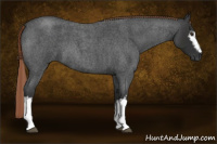 Horse Color:Gray White Spotted Liver Red Roan