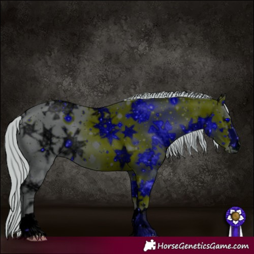 Horse Color:ERROR: UNKNOWN ANOMALY