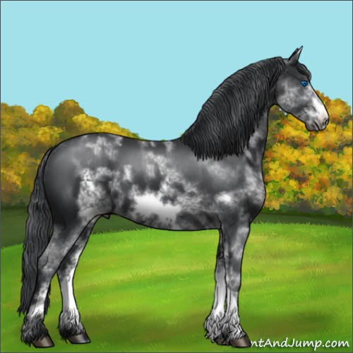 Horse Color:White Spotted Black Frame 