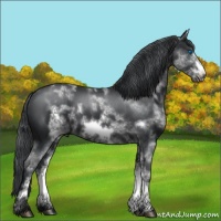 Horse Color:White Spotted Black Frame 