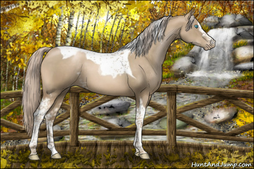 Horse Color:White Spotted Chocolate Palomino Pearl Tobiano