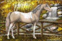 Horse Color:White Spotted Chocolate Palomino Pearl Tobiano 