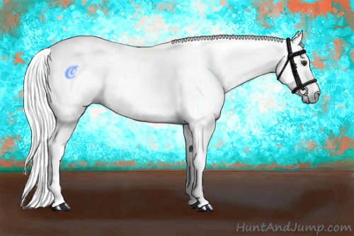Horse Color:Gray White Spotted Liver Chestnut 