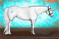 Horse Color:Gray White Spotted Liver Chestnut 