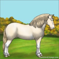 Horse Color:White Spotted Buckskin Pearl 