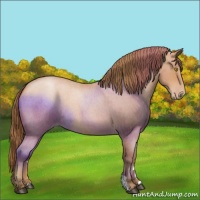 Horse Color:Bay Roan Pearl 