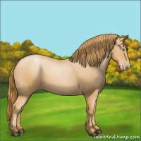 Horse Color:Chestnut Pearl 