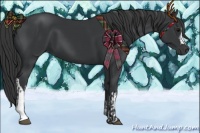 Horse Color:Black  and Black 