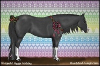 Horse Color:Blue Roan Splash 