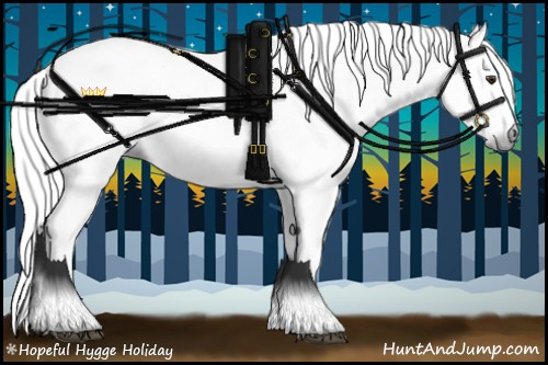 Horse Color:Gray White Spotted Liver Chestnut 