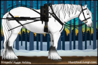 Horse Color:Gray White Spotted Liver Chestnut 