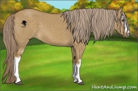 Horse Color:White Spotted Chocolate Palomino Dun 