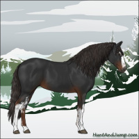 Horse Color:Gray White Spotted Liver Chestnut