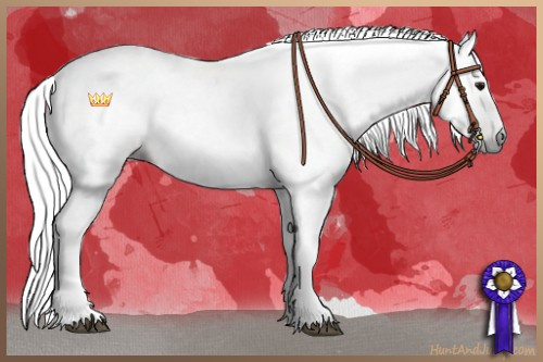 Horse Color:Gray White Spotted Buckskin 