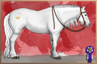 Horse Color:Gray White Spotted Buckskin 