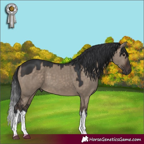 Horse Color:White Spotted Brown Dun 