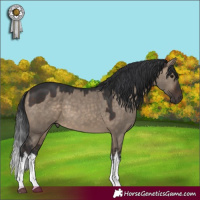 Horse Color:White Spotted Brown Dun 