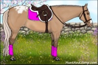 Horse Color:Silver Bay Dun Appaloosa 