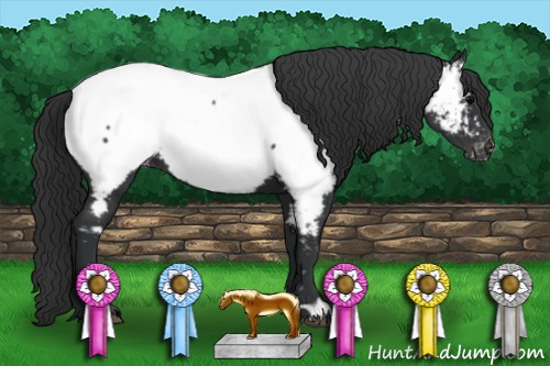 Horse Color:Black Near Fewspot 