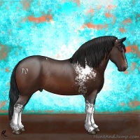 Horse Color:White Spotted Brown Rabicano 