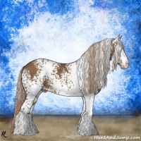 Horse Color:White Spotted Chocolate Palomino Rabicano