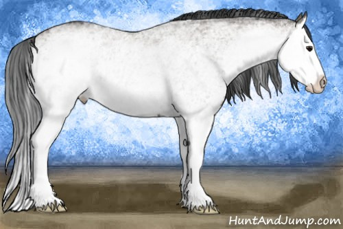 Horse Color:White Spotted Grullo Splash 