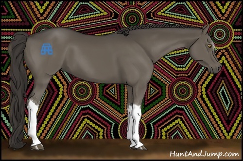 Horse Color:Smoky Black 