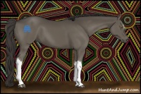 Horse Color:Smoky Black 