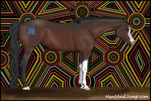 Horse Color:Brown 