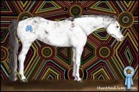 Horse Color:Smoky Black Sabino 