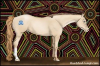 Horse Color:Smoky Black Pearl 