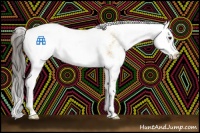 Horse Color:Buckskin Sabino 