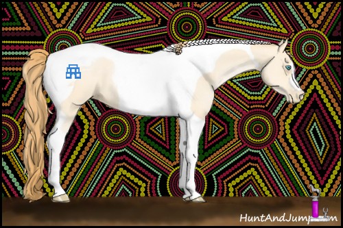 Horse Color:Buckskin Pearl Tobiano 