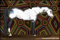 Horse Color:Black Frame Appaloosa 