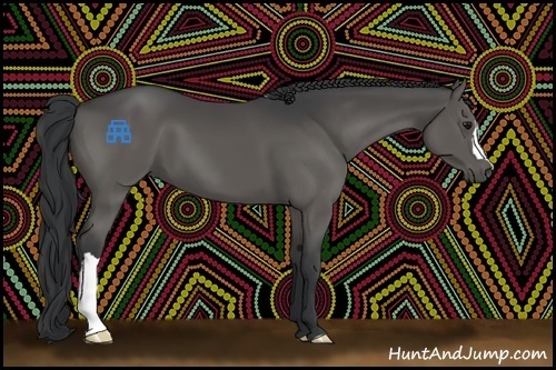 Horse Color:Black 