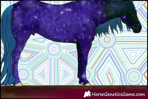 Horse Color:ERROR: UNKNOWN ANOMALY