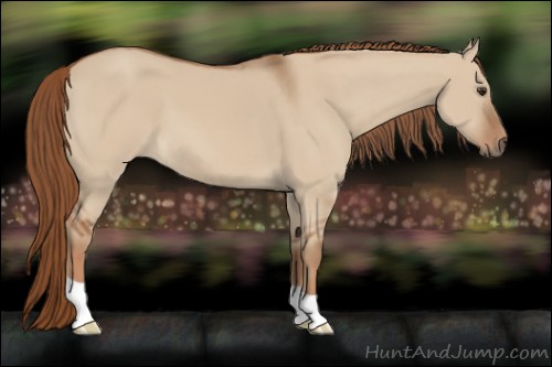 Horse Color:Red Dun 
